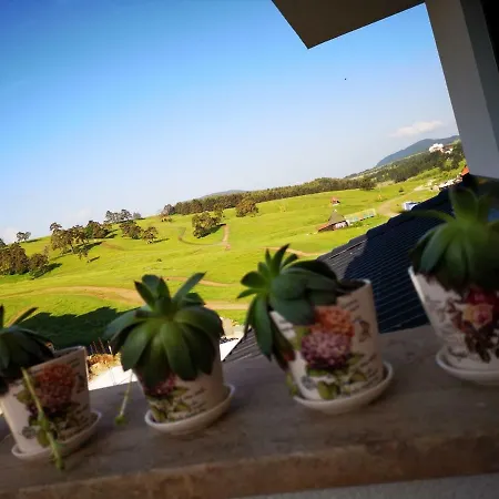 Maximus アパート